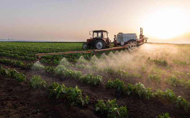 Best Mosquito Control Services  in Paulsboro, NJ