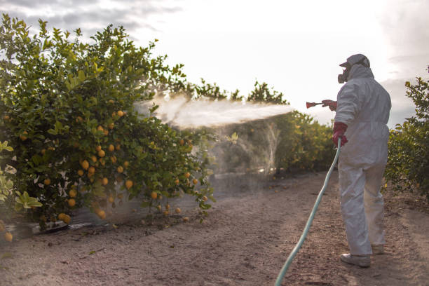Wildlife Control Services in Paulsboro, NJ