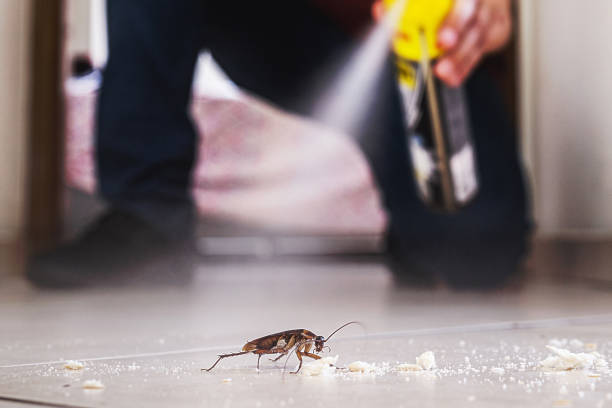 Best Pest Inspection Near Me  in Paulsboro, NJ